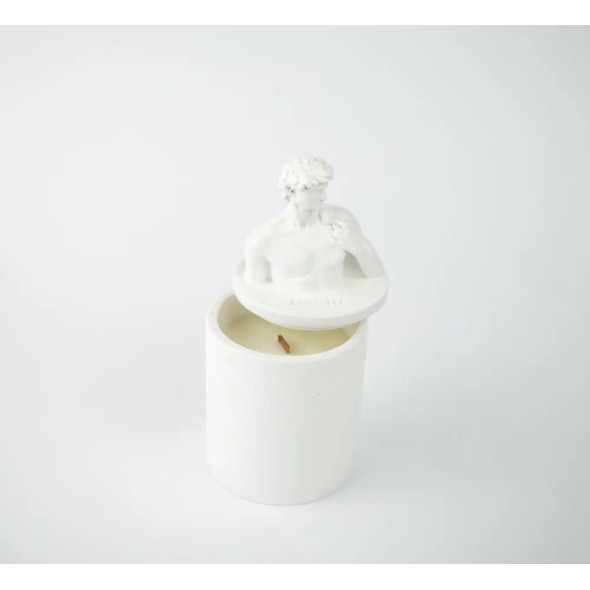 Аромасвічка DAVID AGARWOOD WHITE 100% WOOD WAX 165g 35h
