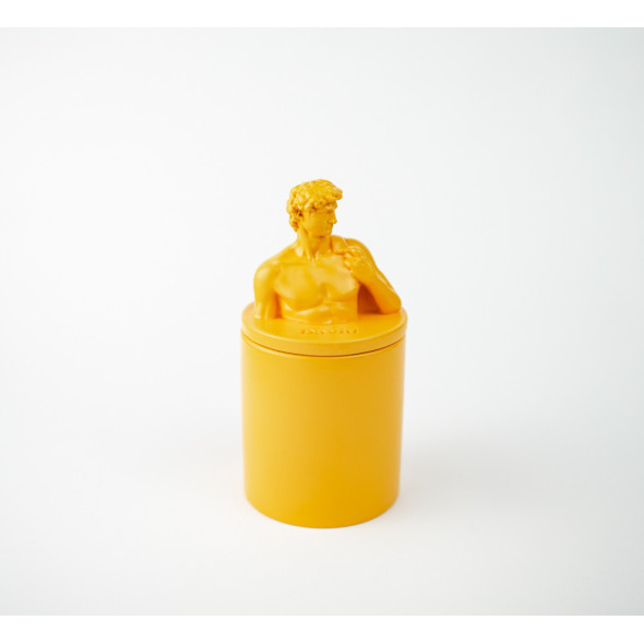 Аромасвічка DAVID AGARWOOD YELLOW 100% WOOD WAX 165g 35h