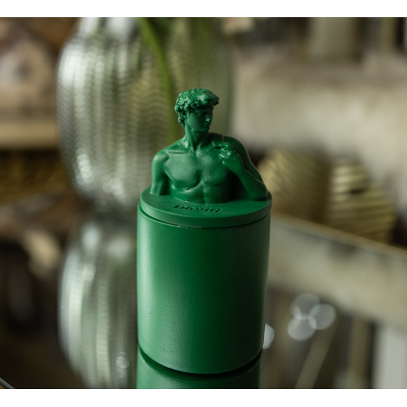 Аромасвічка DAVID AGARWOOD GREEN 100% WOOD WAX 165g 35h