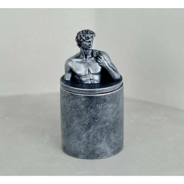 Аромасвічка DAVID AGARWOOD SILVER 100% WOOD WAX 165g 35h